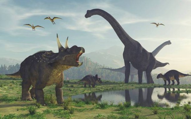 Ilustrasi macam-macam dinosaurus. Foto: Pexels