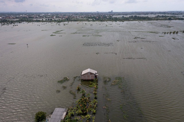 Foto udara sebuah rumah di sekitar areal persawahan yang terendam banjir Di Desa Prampelan, Kecamatan Sayung, Kabupaten Demak, Jawa Tengah, Selasa (3/1/2023).  Foto: Aji Styawan/ANTARA FOTO