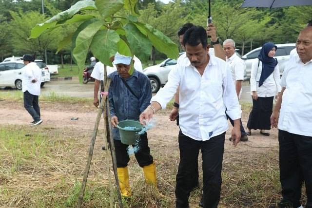 Kepala BP Batam Tinjau Pertumbuhan Pohon Kayu Jati Emas. (Foto: ist)