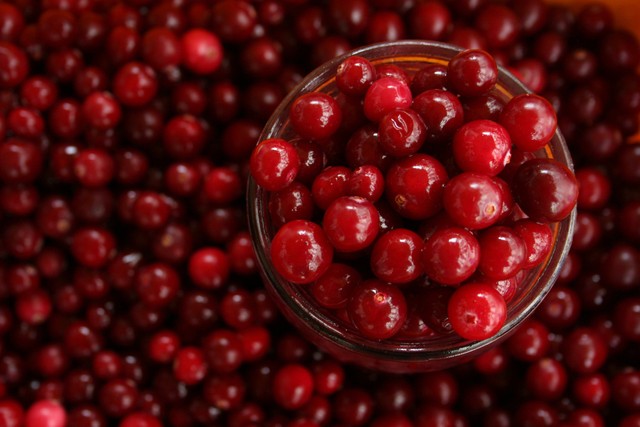 Ilustrasi buah cranberry sebagai salah satu obat alami untuk anyang-anyangan. Foto: Pexels