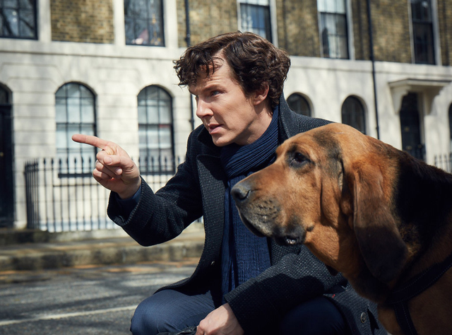 Sherlock dan anjingnya. (Foto: Hartswood Films)