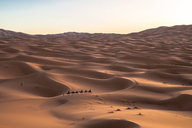 Gambaran Gurun Sahara dan para pengembara. Photo by: Jeff Jewiss on Unsplash