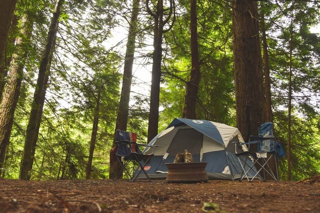 Tempat Camping Keluarga di Bogor. Foto: Unsplash