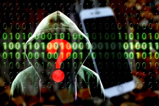Ilustrasi Pelaku Cyber Crime atau kejahatan siber foto: pixabay.com