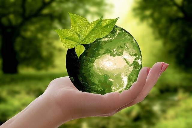 Foto : Pixabay/anncapictures, Gambar Hanya Ilustrasi Kata-Kata untuk Poster Go Green