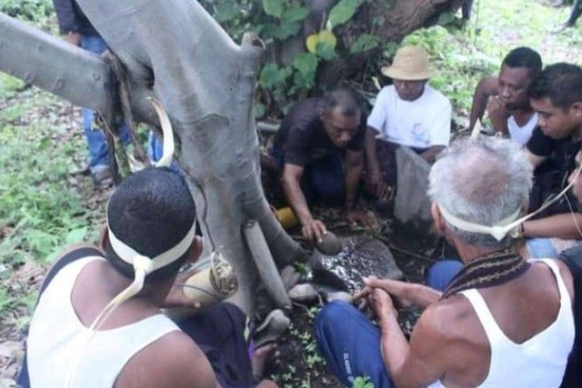 Keterangan foto: Ilustrasi salah satu ritual adat di Kabupaten Lembata. Foto: Teddi L.