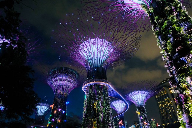 Harga Tiket Masuk Gardens by the Bay Avatar. Foto: Unplash/Miguel Sousa