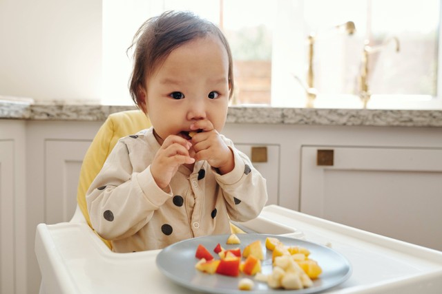 Ilustrasi anak makan sesuai dengan porsinya. Foto: Pexels.com