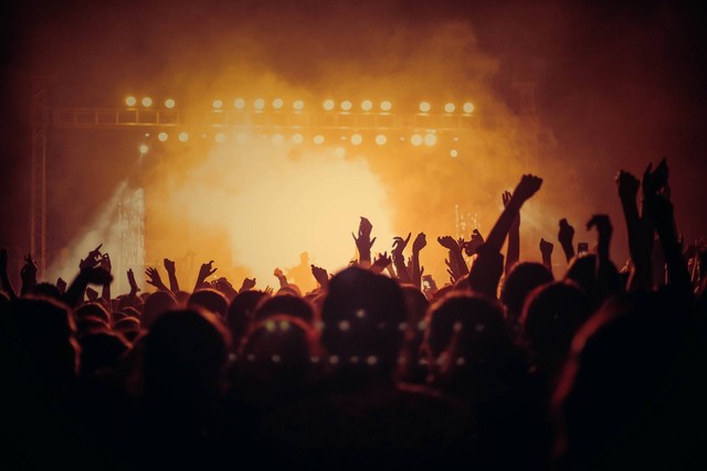 Ilustrasi - Live Concert Audience People Crowd | Foto: Pixabay | Sumber: https://pixabay.com/photos/concert-live-audience-people-crowd-3387324/
