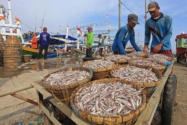 Nelayan mengangkat ikan hasil tangkapan di Pelabuhan Dadap, Juntinyuat, Indramayu, Jawa Barat, Rabu (11/1/2023). Foto: Dedhez Anggara/Antara Foto