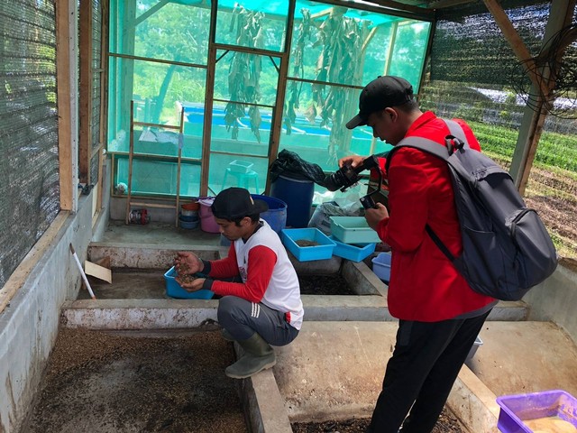 Gambar 1. Mahasiswa KKN UNTAG di Desa Karangsono Sedang Mengambil Gambar Pak Broto Selaku Pengelola TPS dan Budidaya Maggot.