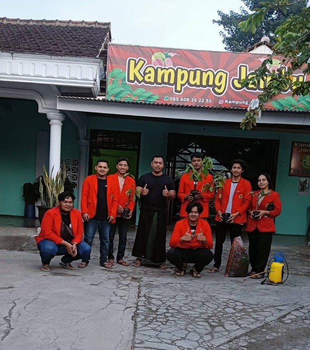 Gambar 1.Penerapan pupuk kandang yang kami buat kepadaM yasir selaku pemilik  kampong jambu