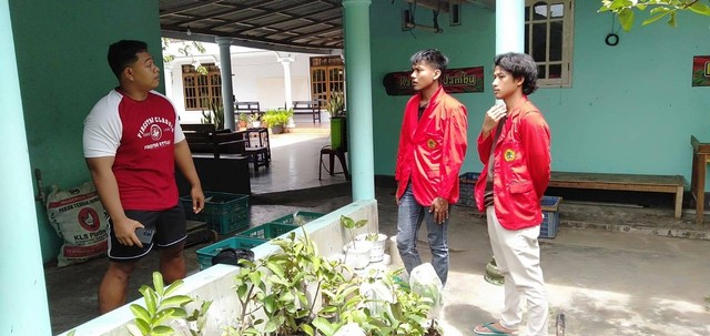 Gambar 1. Mahasiswa KKN UNTAG di Desa Karangsono Sedang Sosialisasi Dengan Salah Satu Petani Jambu