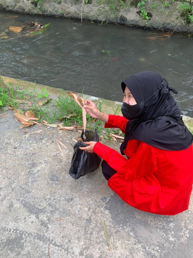 Sumber: Penulis, Pencarian limbah daun kering sebagai bahan utama pembuatan pupuk organik