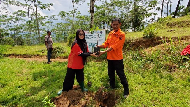 prosesi penanaman bibit pohon bersama Kabid Pencegahan dan Kesiapsiagaan BPBD Ponorogo. sumber : kknuntagsby_bidangkebencanaan