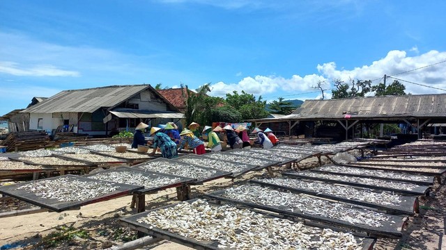 Ibu-ibu pekerja harian saat memilih teri di salah satu pengelolaan ikan asin di Pulau Pasaran. | Foto: Sinta Yuliana/Lampung Geh