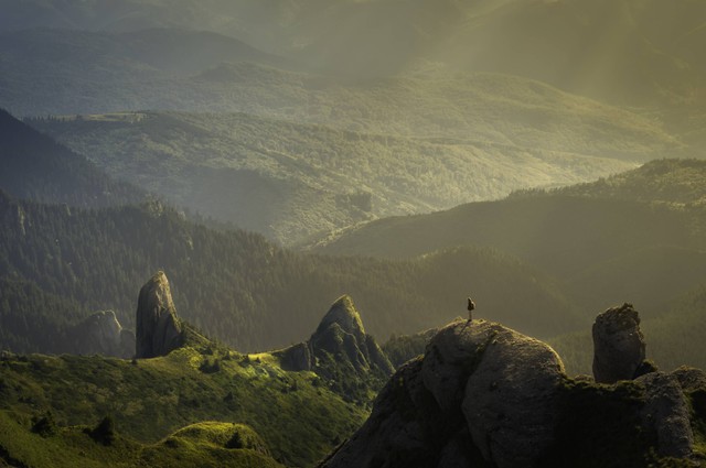 Ilustrasi Puisi yang Berkaitan dengan Alam yang Indah. Foto: Unsplash/David Marcu.