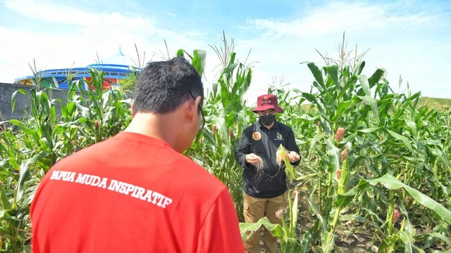 Papua Muda Inspiratif budidaya ikan nila berada di Kampung Nolokla, Distrik Sentani Timur, Jayapura, Papua. Foto: Dok. Istimewa