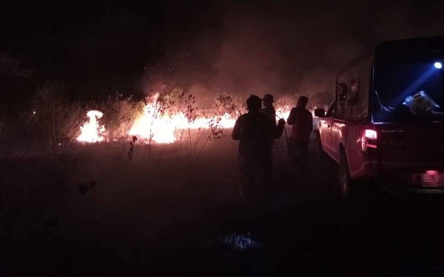 Kawasan Taman Nasional Way Kambas seluas 150 hektare terbakar pada Sabtu (14/1) kemarin. | Foto : dok Balai TNWK