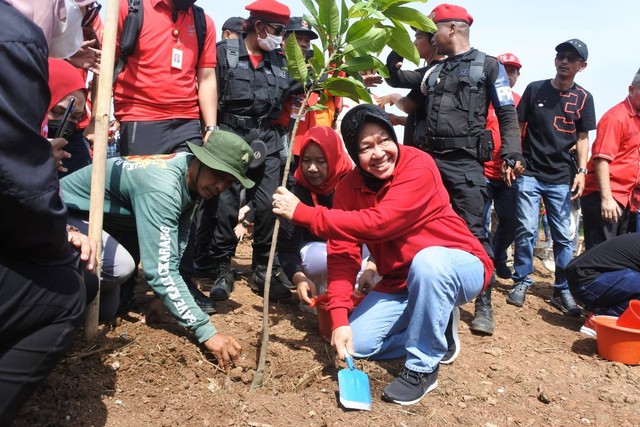 Rangkaian HUT ke-50 PDIP, DPD Jabar Tanam 50 Ribu Pohon di Tepi Sungai Kalimalang. Foto: Dok. PDIP