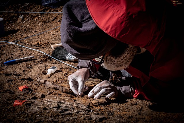 Sebuah tim bekerja di daerah di mana para ilmuwan menemukan fosil megaraptor di daerah Patagonia, Chile. Foto: Instituto Chileno Antartico/via REUTERS