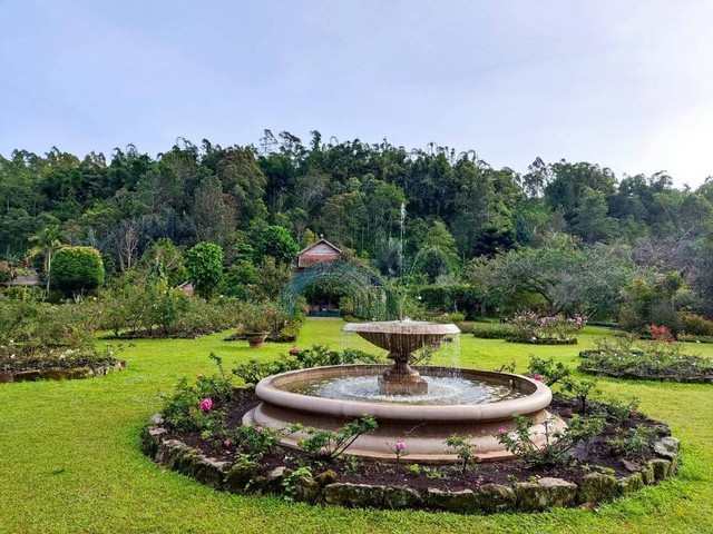 Kebun Mawar Situhapa di Garut (Sumber: dok. pribadi)