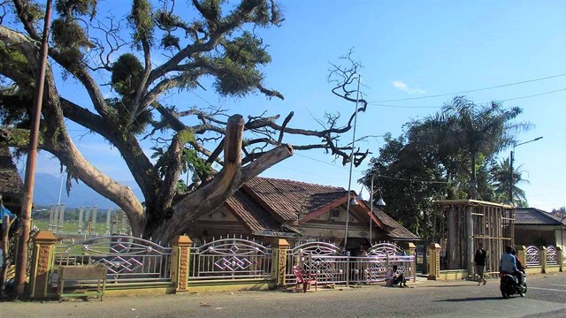 Makam Syahid Lapan di Desa Keude Tambue, Kecamatan Simpang Mamplam, Bireuen. Foto: Adi Warsidi 