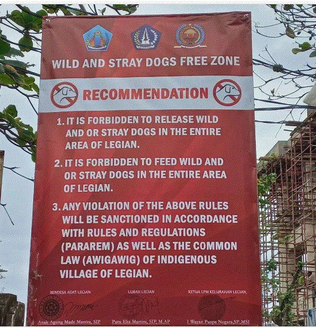 Larangan membuang anjing dan memberi makan anjing li Legian, Bali - IST