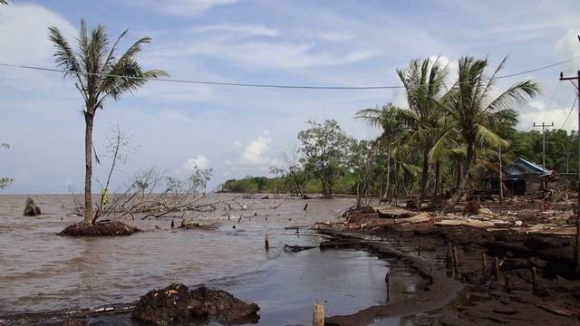 Wilayah Desa Kuala Karang tergerus oleh abrasi. Foto: Dok Hi!Pontianak