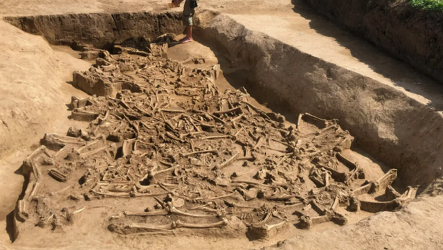 Puluhan kerangka manusia ditemukan di sebuah lubang di Slovakia.  Foto:  Dr Martin Furholt/Kiel University