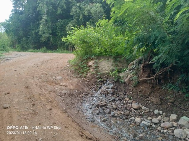 Keterangan foto:Lokasi saluran irigasi yang rusak dan tertimbun tanah untuk jadi jalan bagi kendaraan proyek Bendungan Wairita. Foto: Mario WP Sina.