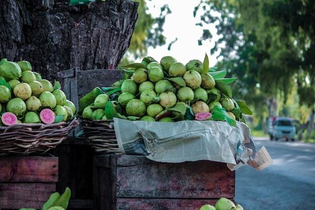 Ilustrasi jambu yang rame banget. Foto: Unsplash/Ossama Safi