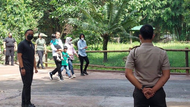 Presiden Jokowi dan keluarga berkunjung ke Solo Safari, Senin (23/1). Dok: kumparan.