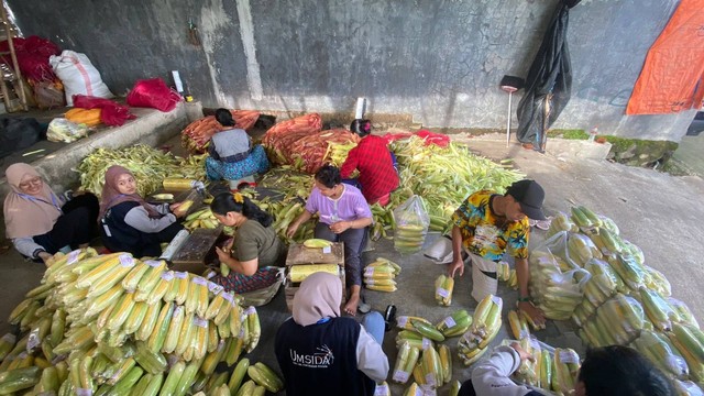 Mahasiswa Umsida Mendampingi Pelaku UMKM