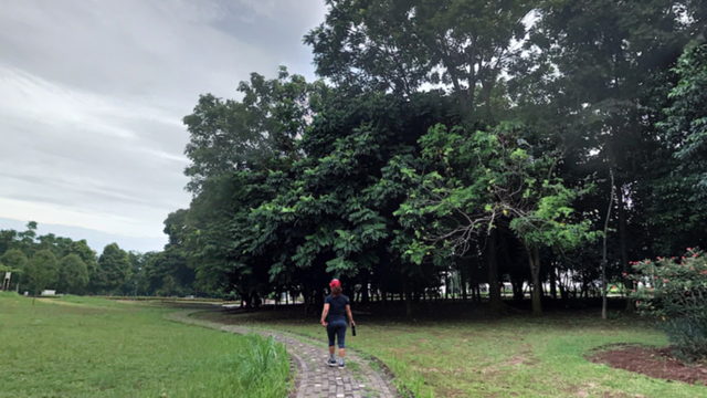 Tempat Wisata di Cibinong, Foto: Google Street View