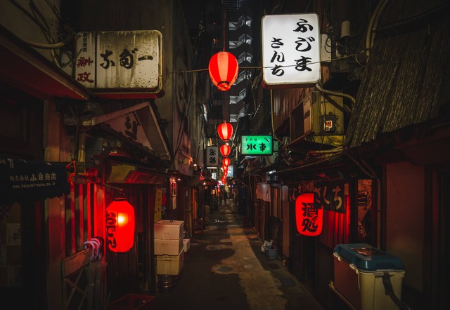 Tempat Wisata ala Jepang di Bogor, Foto Hanya Ilustrasi: Unsplash/Denys Nevozhai