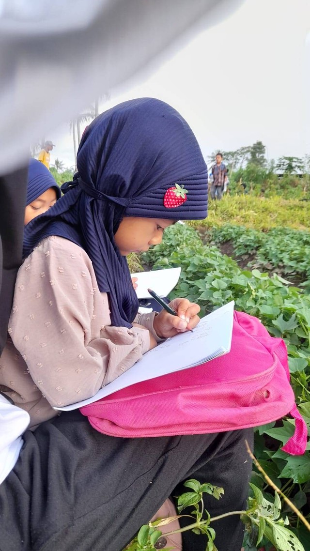 Keceriaan Festival Sawah; Mengajak Anak Mengenal Alam Lewat Lomba Mewarnai (177092)