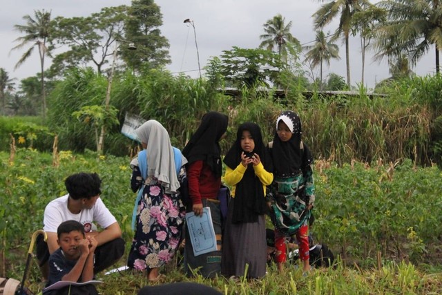 Keceriaan Festival Sawah; Mengajak Anak Mengenal Alam Lewat Lomba Mewarnai (177091)