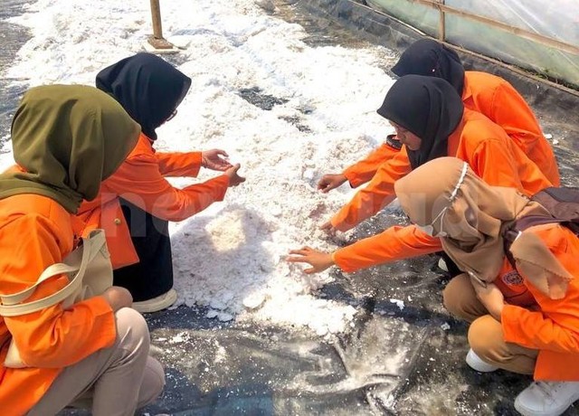 Tim PPKO Himpunan Mahasiswa Teknologi Pangan (HMTP) Universitas Ahmad Dahlan (UAD) melakukan survei pengelolaan garam di Wonoroto, Bantul, Yogyakarta (Foto: Istimewa)
