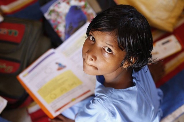 https://pixabay.com/id/users/akshayapatra-195187/ - kunci jawaban tema 6 kelas 5 halaman 182