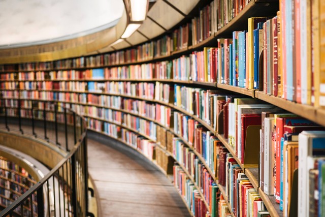 Ilustrasi Koleksi yang Ada di Perpustakaan. Foto: dok. Susan Q Yin (Unsplash.com)