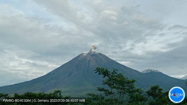 Terjadi erupsi G. unung Semeru pada hari Minggu, (29 Januari 2023), pukul 06:39 WIB. Foto: Dok. MAGMA Indonesia