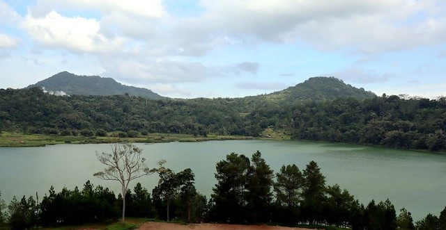 Ilustrasi Taman Nasional di Sulawesi Tengah yang Benar. (Foto: ignartonosbg by https://pixabay.com/id/)