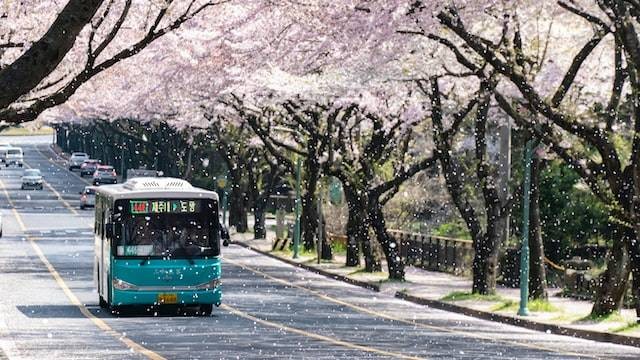 Ilustrasi ucapan ulang tahun bahasa Korea untuk pacar, Foto oleh Ji Seongkwang di Unsplash