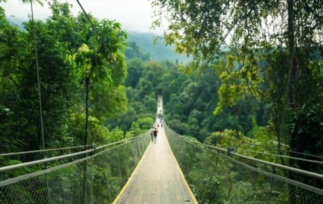 Jembatan Gantung Situ Gunung sumber foto: Shutterstock.com