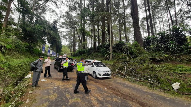 Situasi di Jalan Raya Tangkuban Parahu, Kabupaten Bandung Barat, saat evakuasi pohon tumbang. Foto: Dok. Istimewa