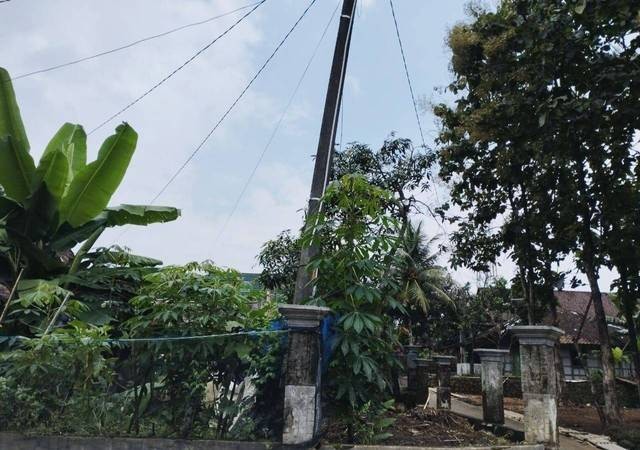 Rumah Agung Widodo yang berada di Dusun Banjaran Cengklik RT.039, RW.007 Desa Cukilan, Kecamatan Suruh, Kabupaten Semarang, yang ditanami tiang listrik oleh PT PLN (Persero) UP3 Kota Salatiga. (Foto: Hermanto)