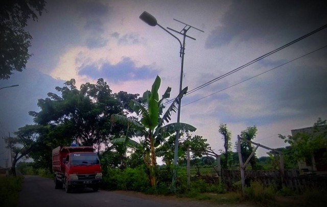 Sederet Fakta di Balik Jalan yang Ditambal Tukang Becak di Lamongan