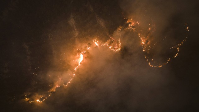 Pohon terbakar saat api dan asap menyelimuti area di Santa Juana, Cile, Senin, 6 Februari 2023. Foto: Matias Delacroix/AP Photo