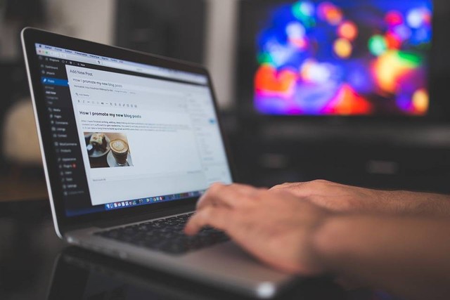 Ilustrasi cara bikin EFIN secara online. Foto: Pixabay